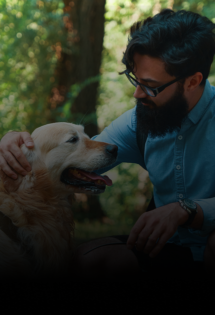 Dog with owner